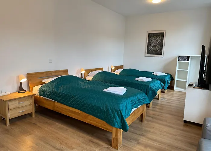 3 Rooms, Free Parking, 25 Min To Duesseldorf, 200 Mbps Wlan Apartment *